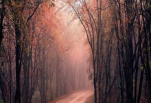 CCTV5+直播都能看哪些精彩赛事？怎么看更方便？